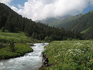 река Назалыкол
